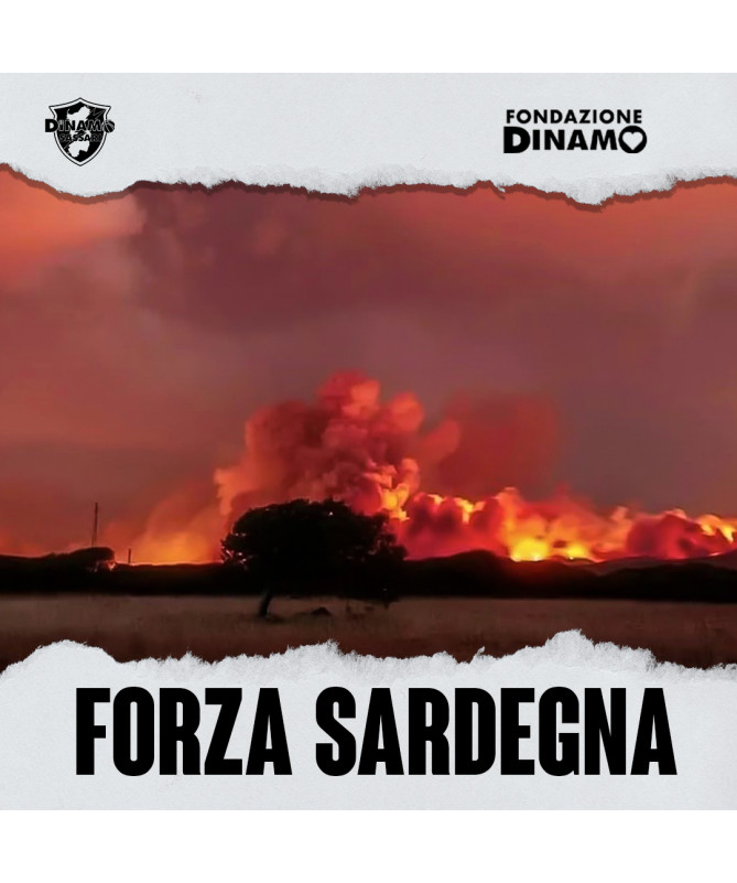 Donazione Forza Sardegna emergenza incendi